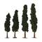 12 Packs: 4 ct. (48 total) Mini Conifer Trees by Make Market®